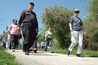 NAMIWalk07 (238) 